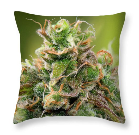 Siberian Rose Pillow