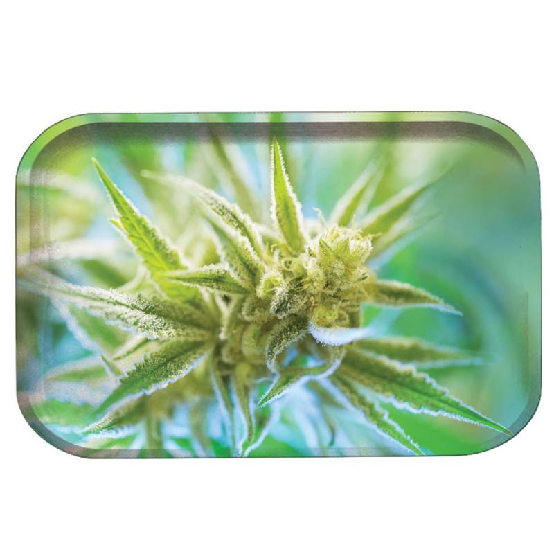 Pulsar 11" x 7" Metal Rolling Tray - Medium – Bud