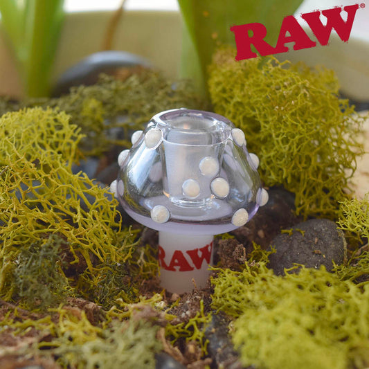 RAW Glass Mushroom Cone Holder