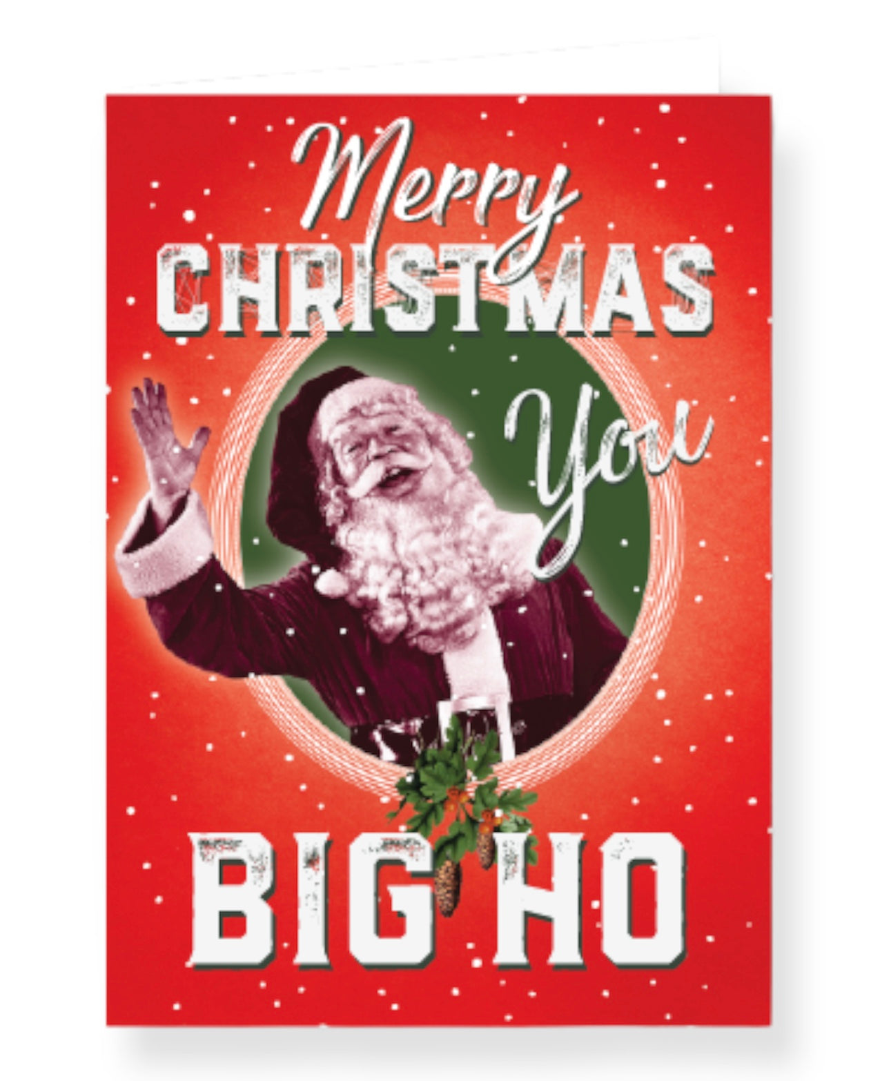 Christmas Card Merry Christmas You Big